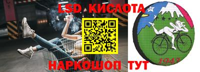 ПСИЛОЦИБИНОВЫЕ ГРИБЫ Изобильный