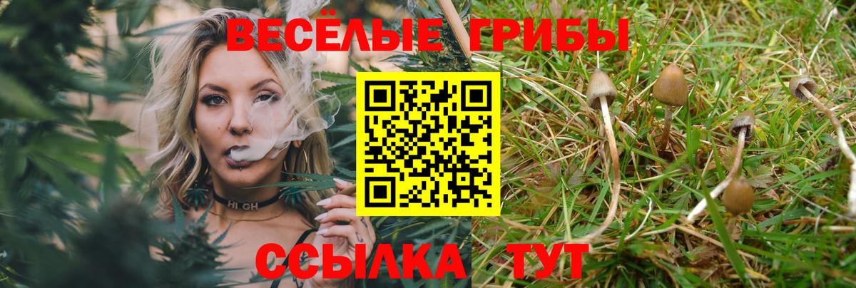 Галлюциногенные грибы ЛСД Егорьевск
