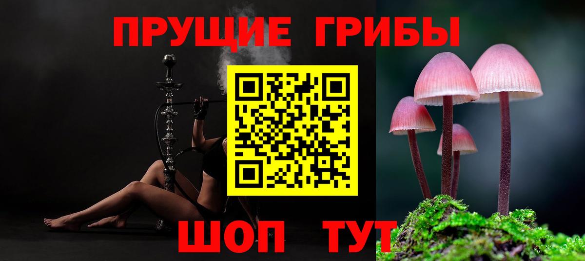 Галлюциногенные грибы мухоморы  Вход с VPN  Егорьевск 